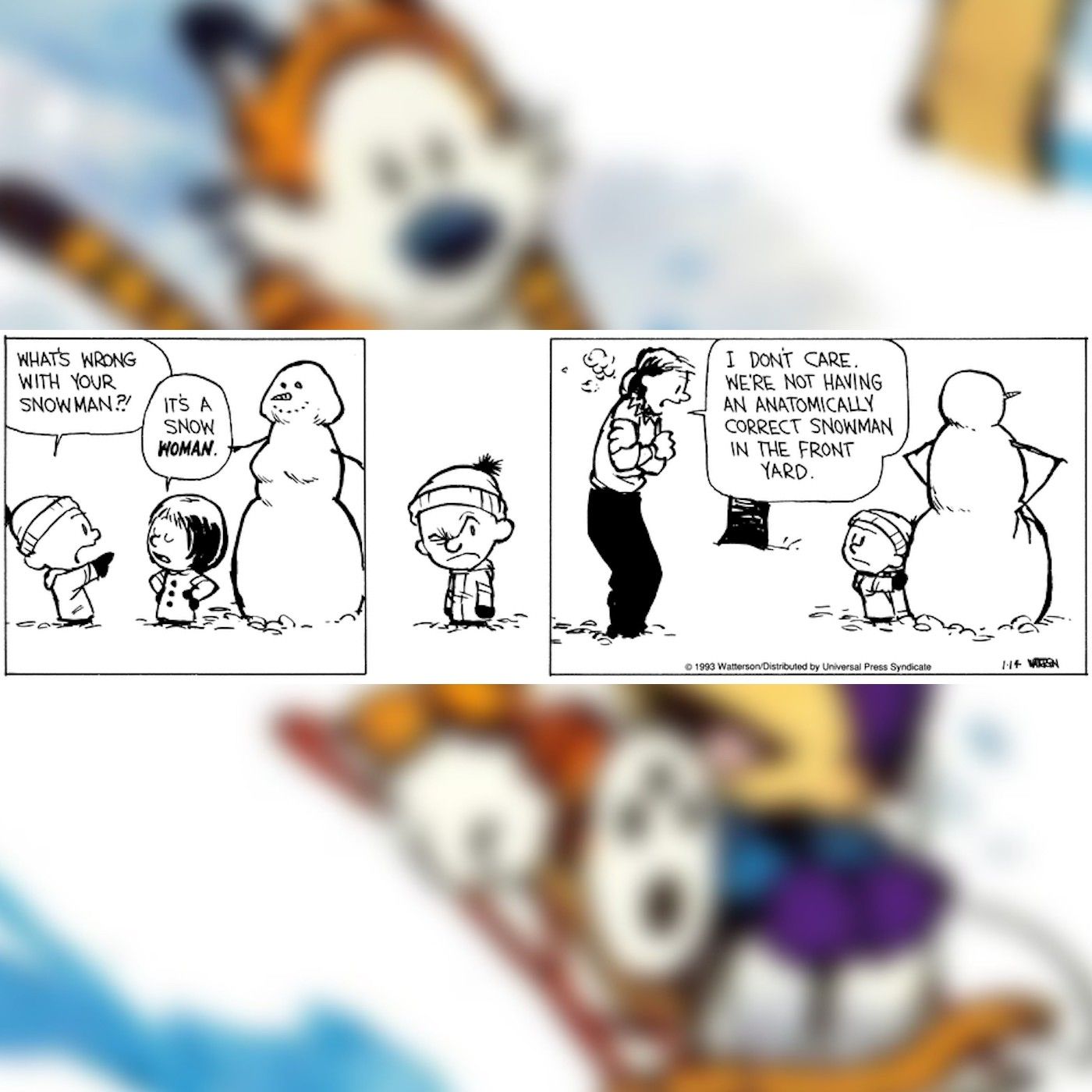 Calvin construye un muñeco de nieve anatómicamente correcto