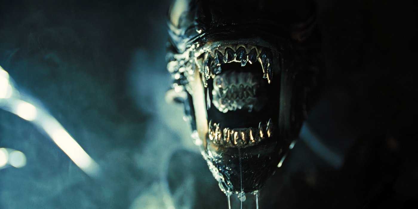 Romalus Every Upcoming Alien Movie & TV Show After Romulus