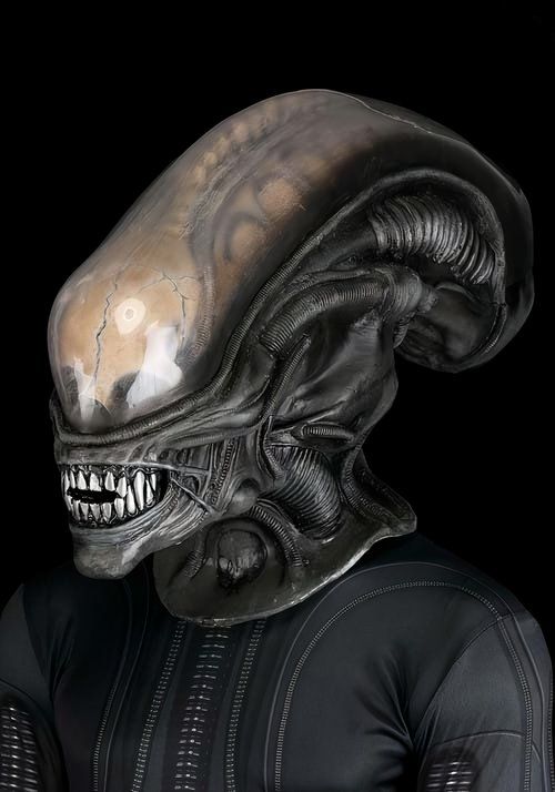 See This Unique Alien Collectible Xenomorph Mask