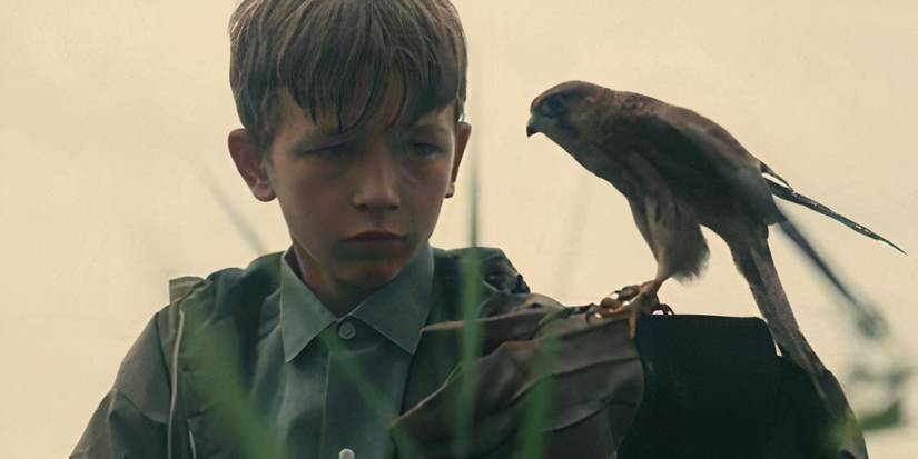 David Bradley as Billy holding a kestrel on his arm in the movie Kes.