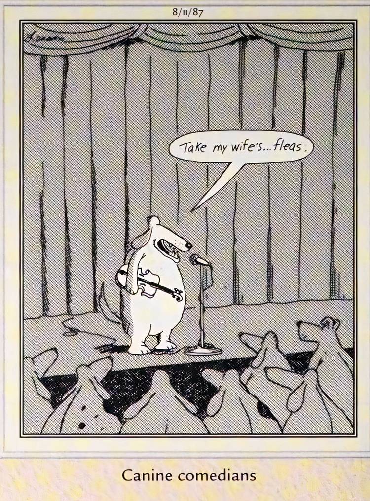 Far Side, August 11, 1987, a dog stand up comic says 'take my wife...fleas'