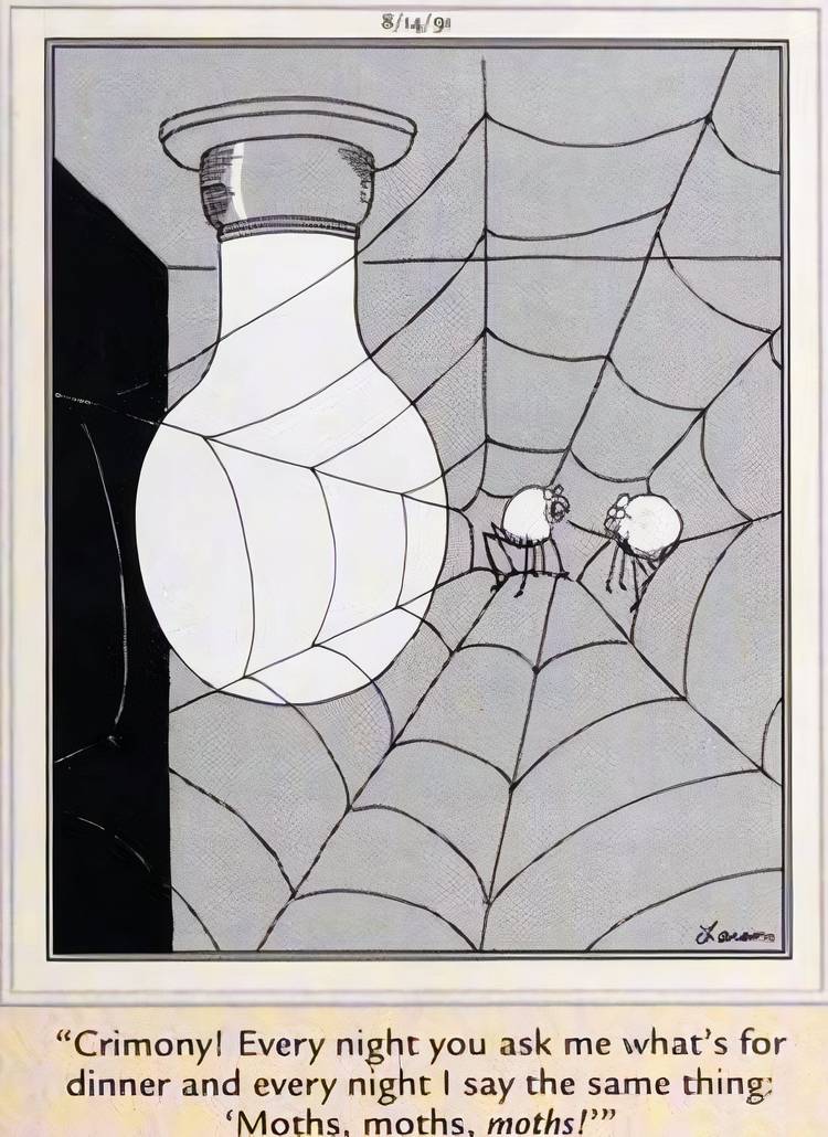 Far Side, August 14, 1991, spiders complain about having the same insects for dinner every night