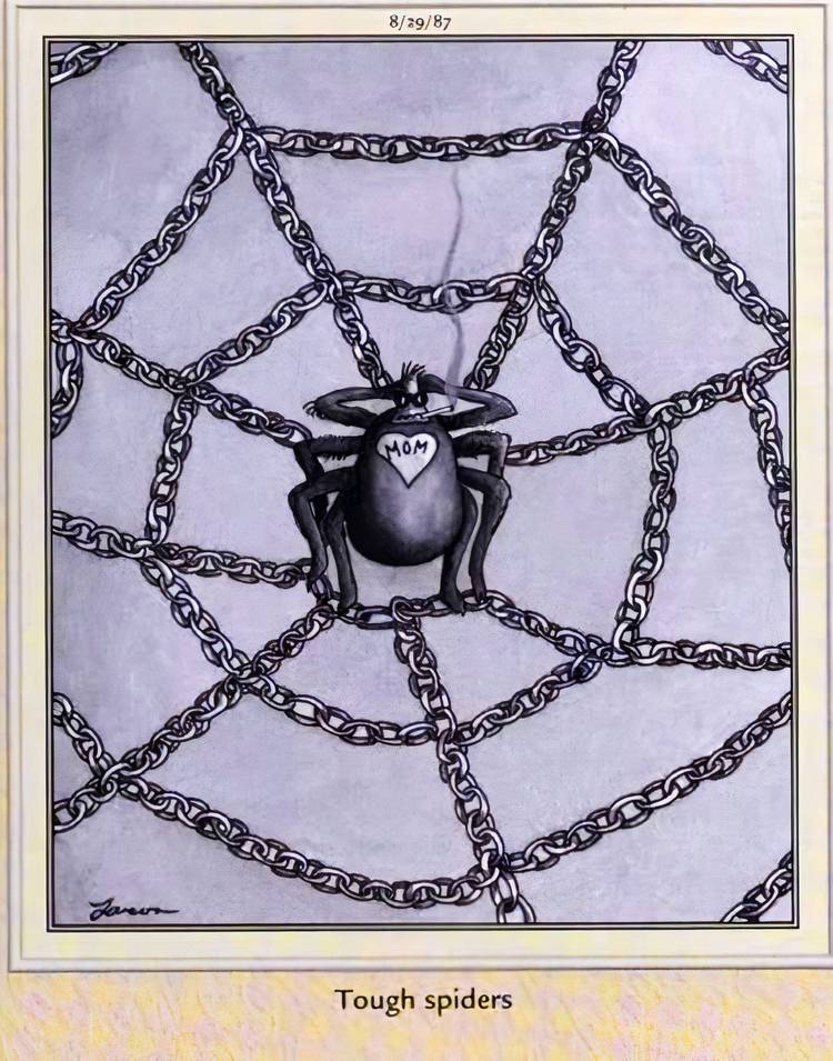 Far Side, August 29, 1987, a 'tough spider' lounges in a web made of chains