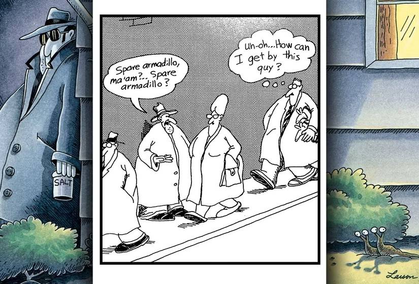 карика "The Far Side", где мужчина просит броненосецов у прохожих, с одним человеком, который их собирает