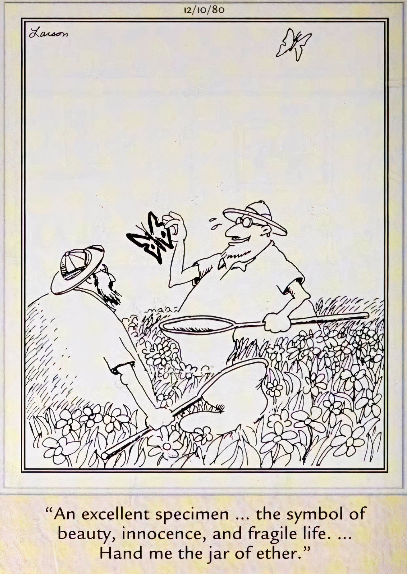 Far Side, 10 de diciembre de 1980, un cazador de mariposas habla de la belleza de un ejemplar mientras se prepara para matarlo.