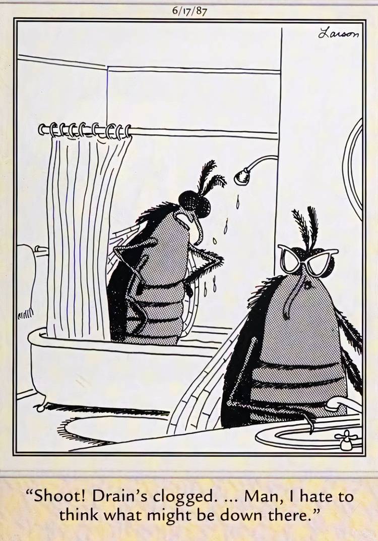 Far Side, June 17, 1987, fly complains that the shower drain is clogged