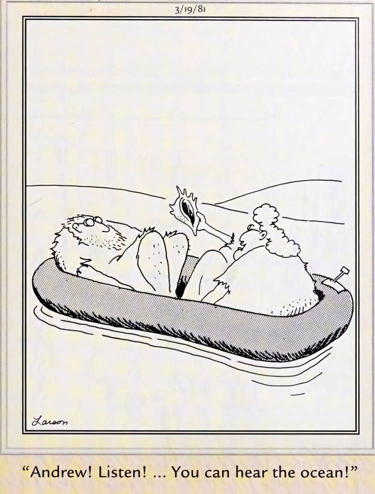 10 Hilarious Far Side Comics Where Characters Are Lost At Sea (From the