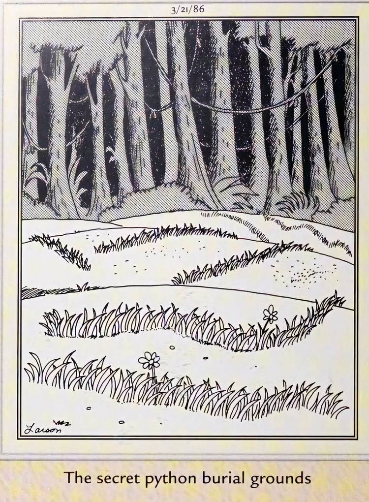 Python Buried 12 Far Side Comics Comics From 1986 Designed To Make Readers Go “WHAT-THE?”