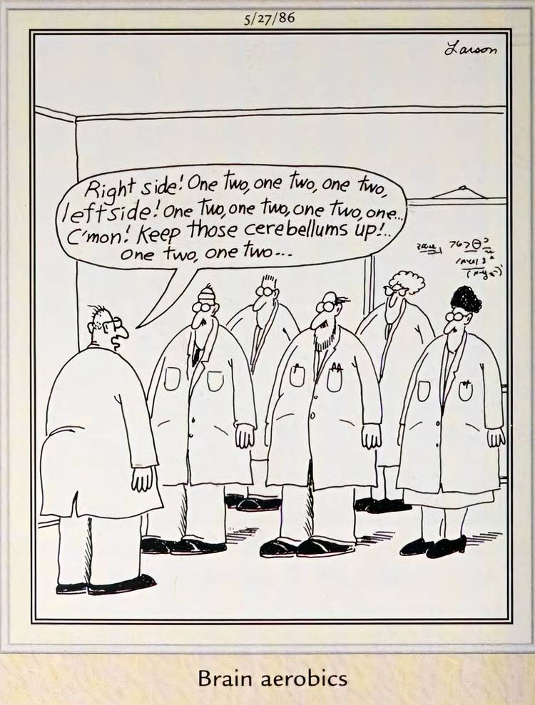dummies-vs-genius-10-far-side-comics-that-poke-fun-at-smart-people