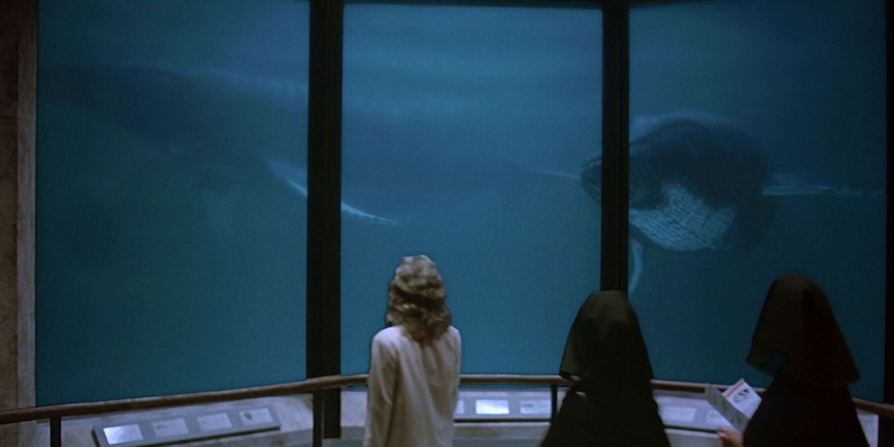 Catherine Hicks: Leonard Nimoy’s Star Trek Movie Whale Biologist Explained