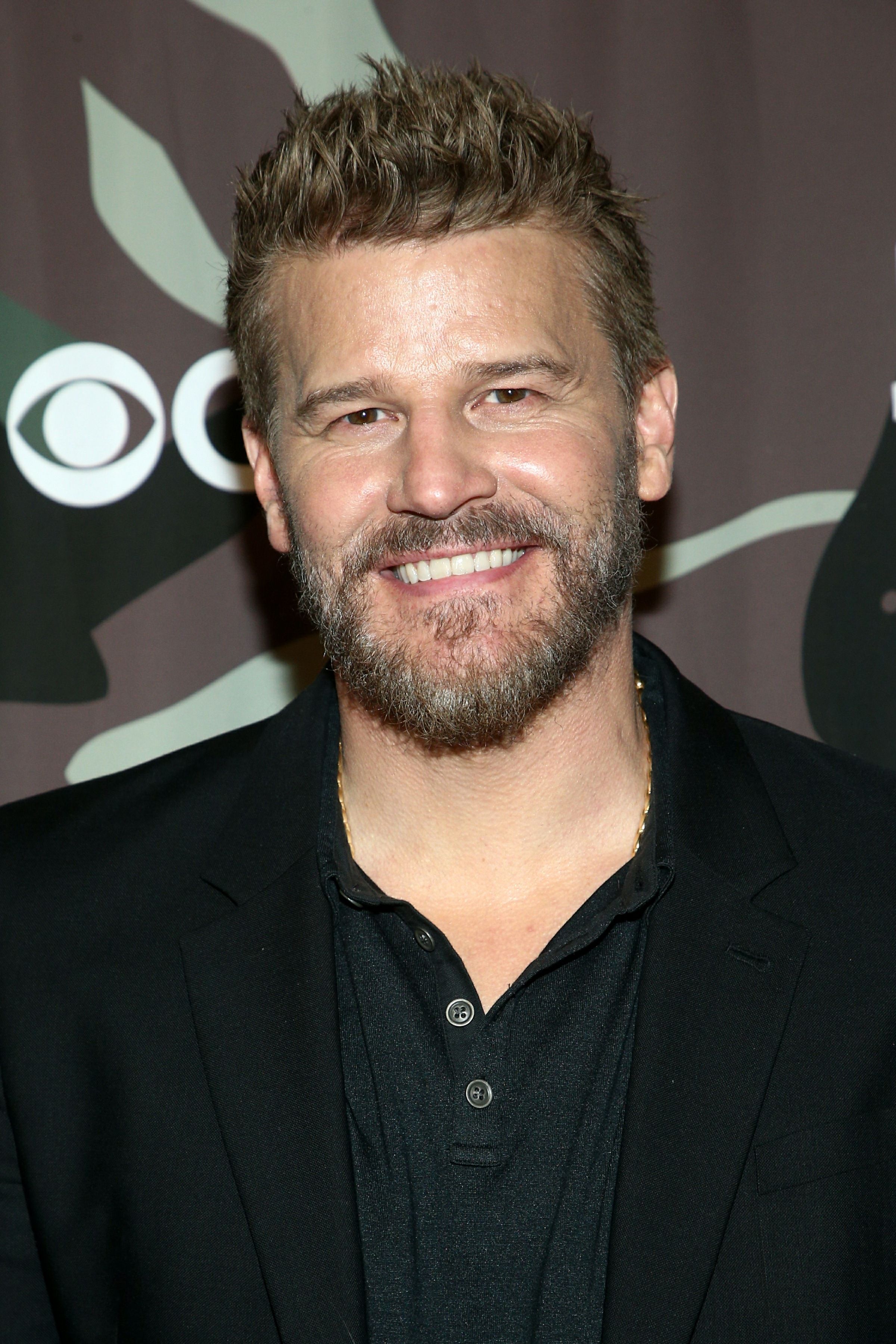 Headshot Of David Boreanaz