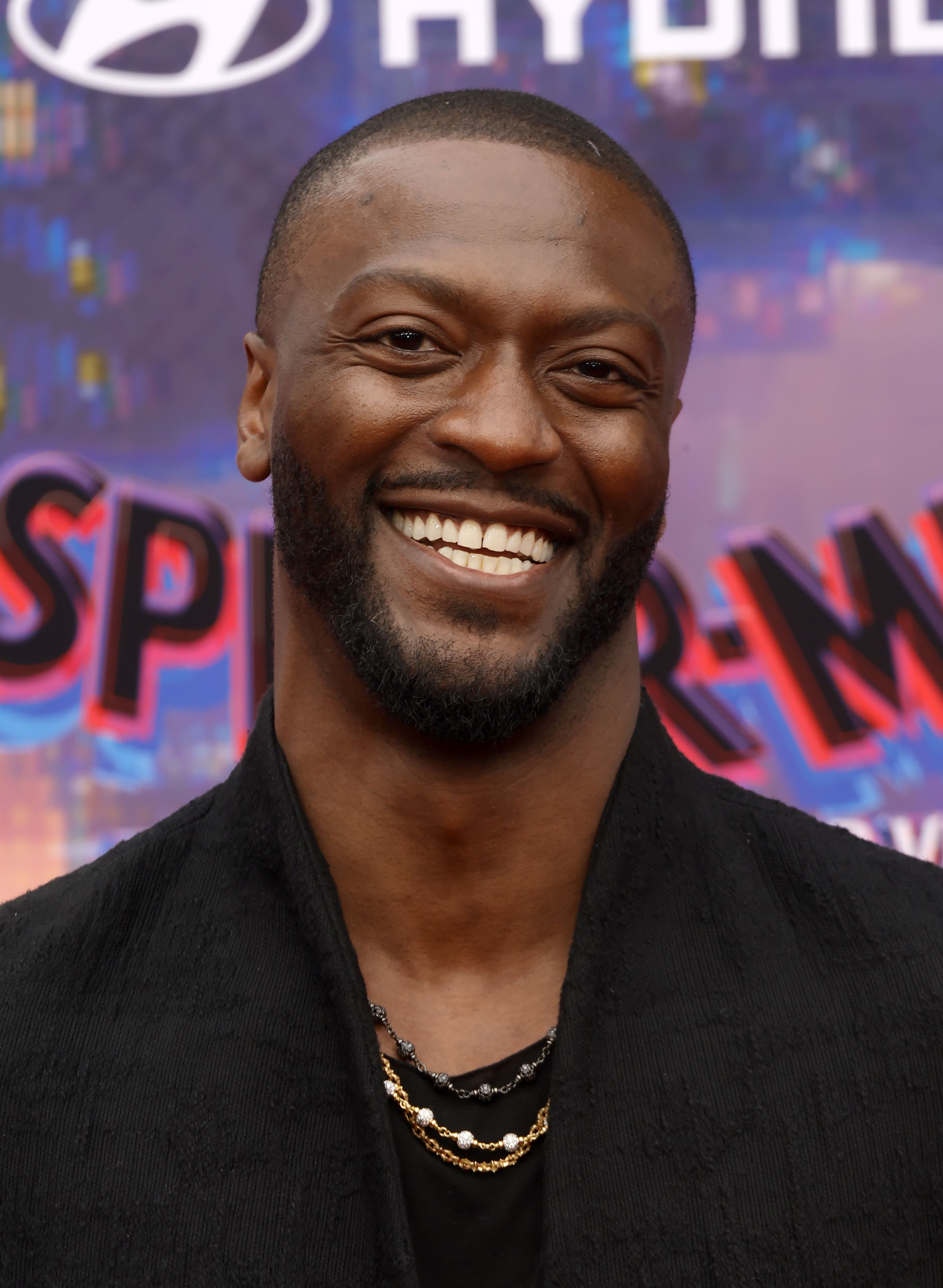 Headshot Of Aldis Hodge