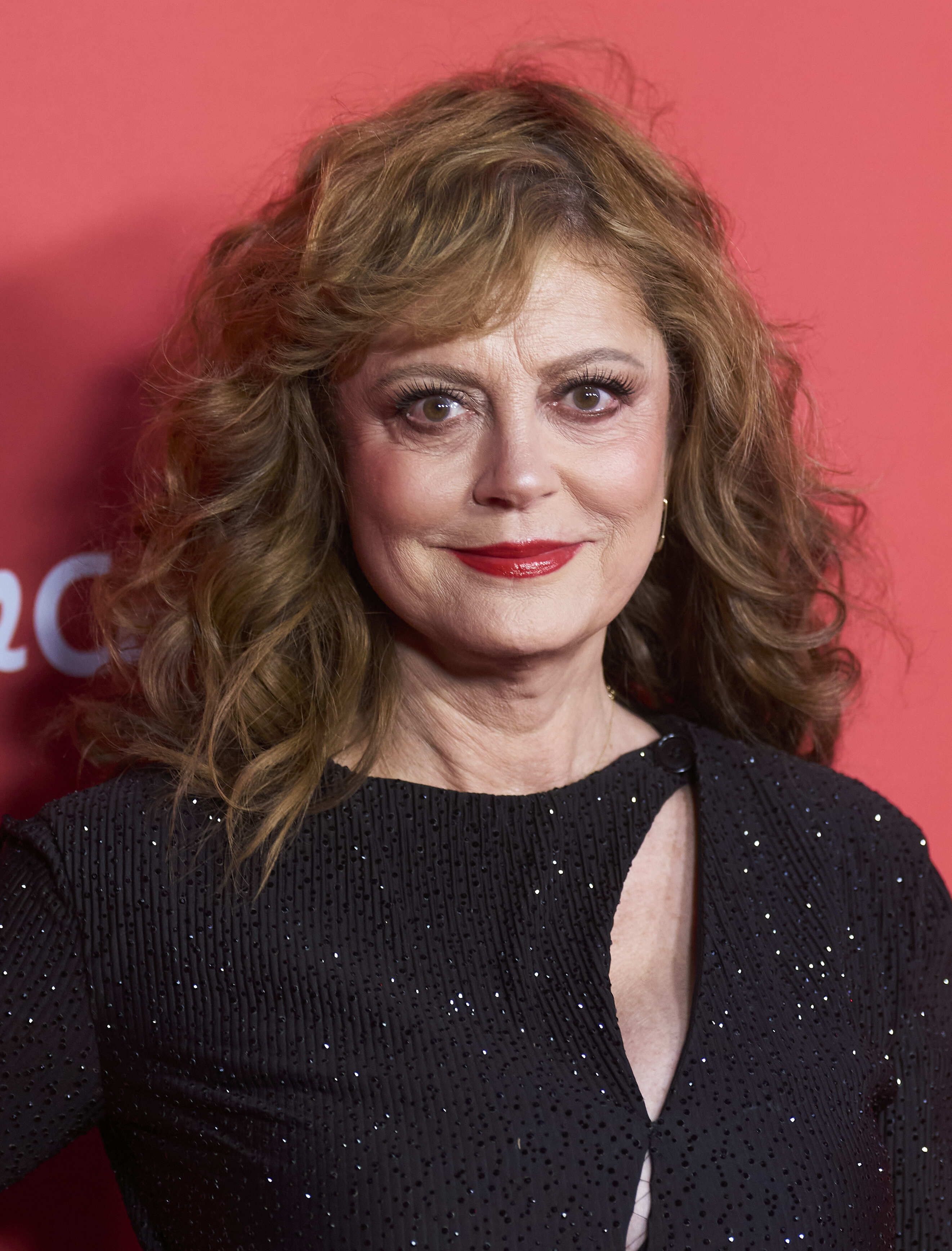 Headshot Of Susan Sarandon