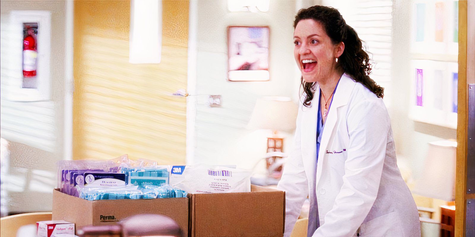 Why Kali Rocha's Sydney Heron Left Grey's Anatomy (& Returned 17 Years Later)