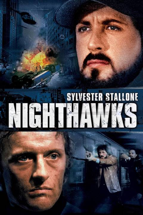Nighthawks Summary, Trailer, Cast, Where to Watch and More
