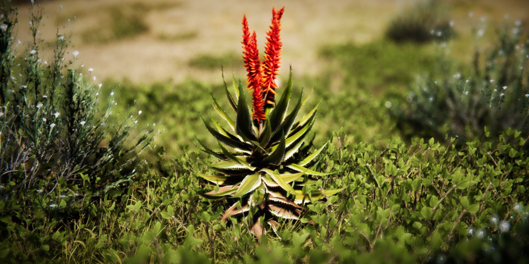 10 Best Crops to Grow in Once Human