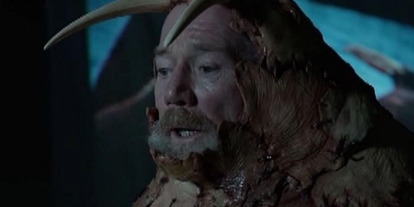 Tusk: Walrus Man True Story Explained