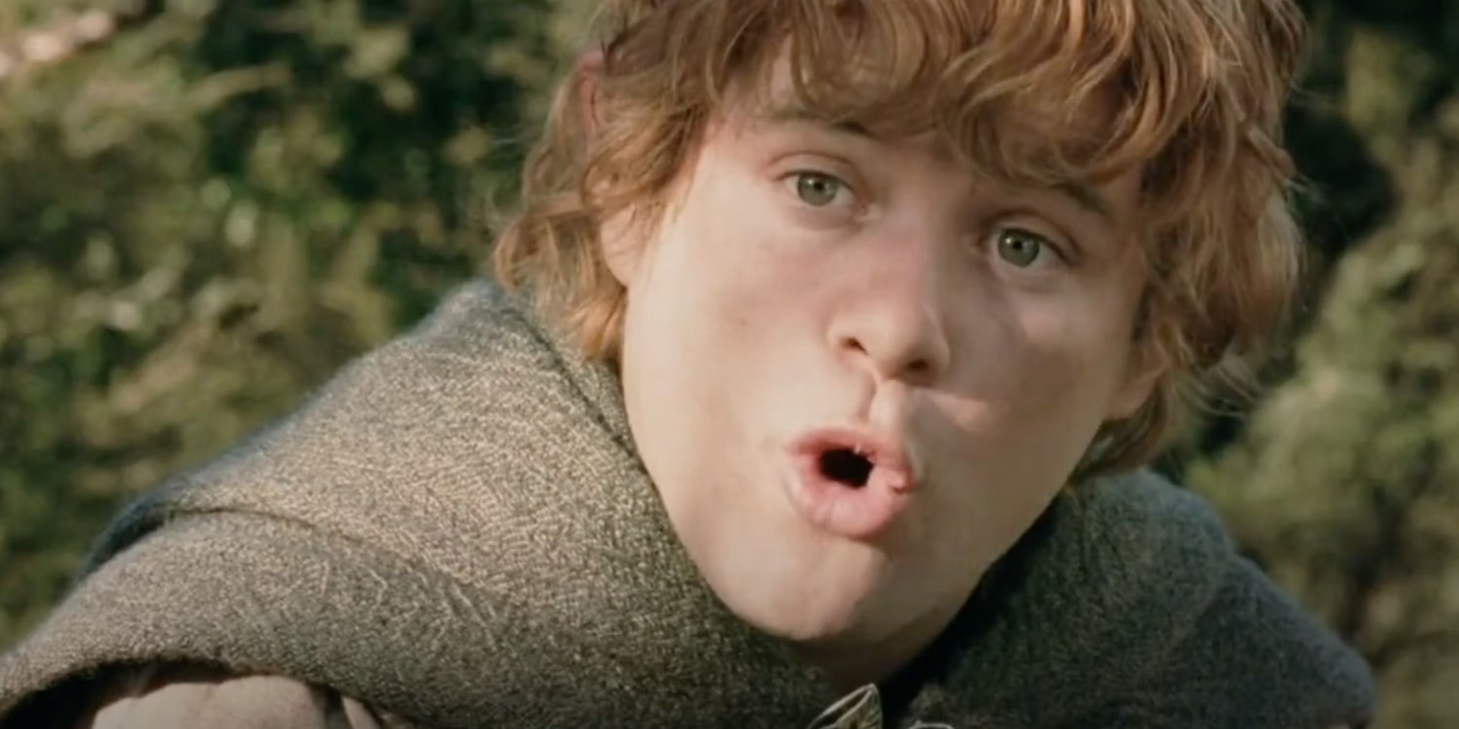 10 Biggest Changes LOTR: The Fellowship Of The Ring Makes To The Book