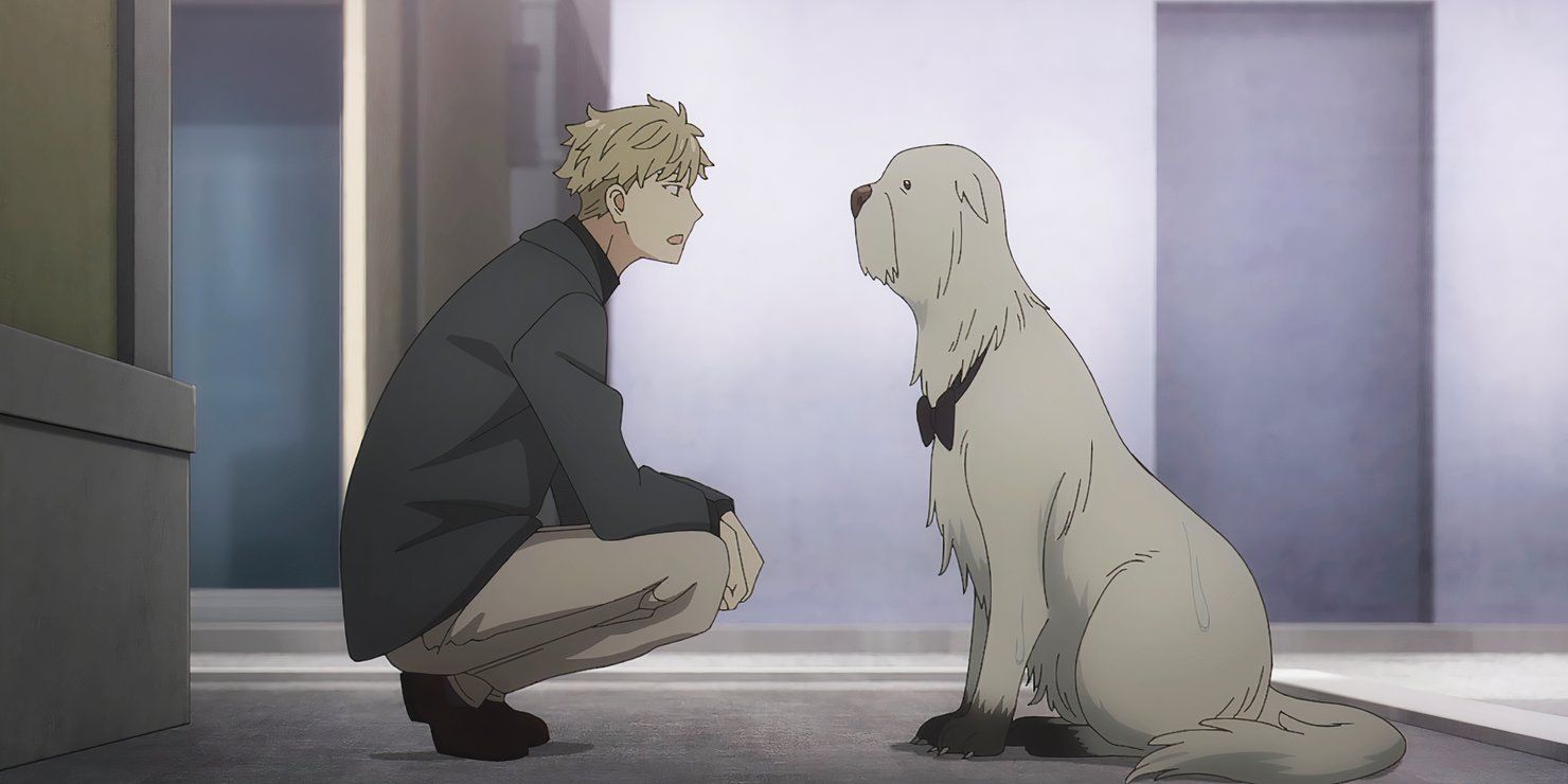 10 Best Loid Quotes in Spy X Family