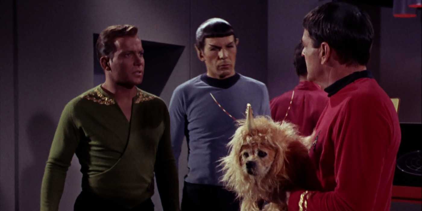 Original Fesarious Why Captain Kirk's Tombstone Said