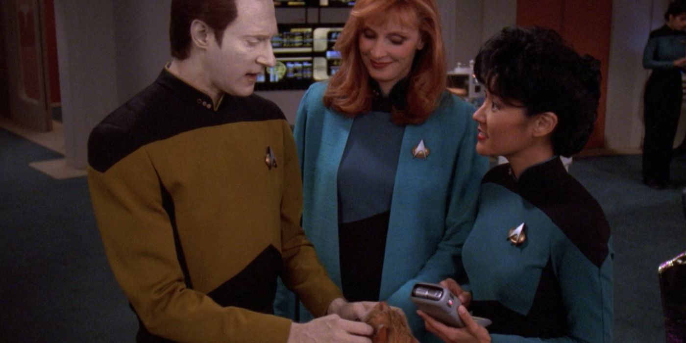 Data's Love Of Cats In Star Trek Has An Ironic Real-Life Twist