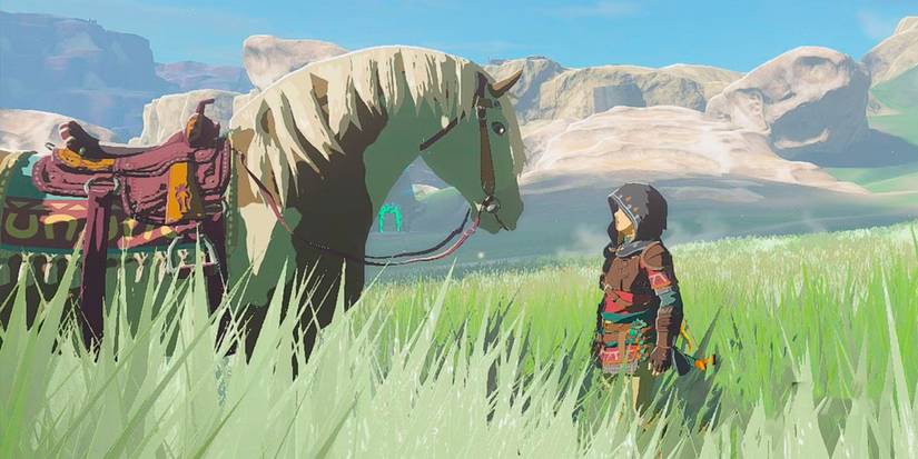 Link taking a look at a big white horse.