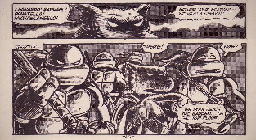 The TMNT Originally Had Different Ninja Weapons