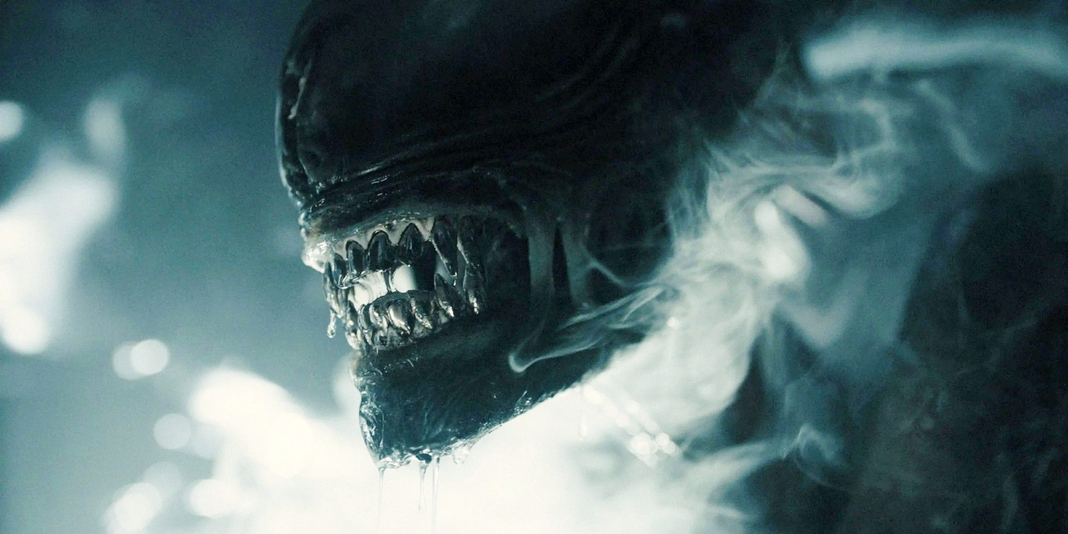 Cómo sobrevivió el xenomorfo original al ataque de Alien y Ripley