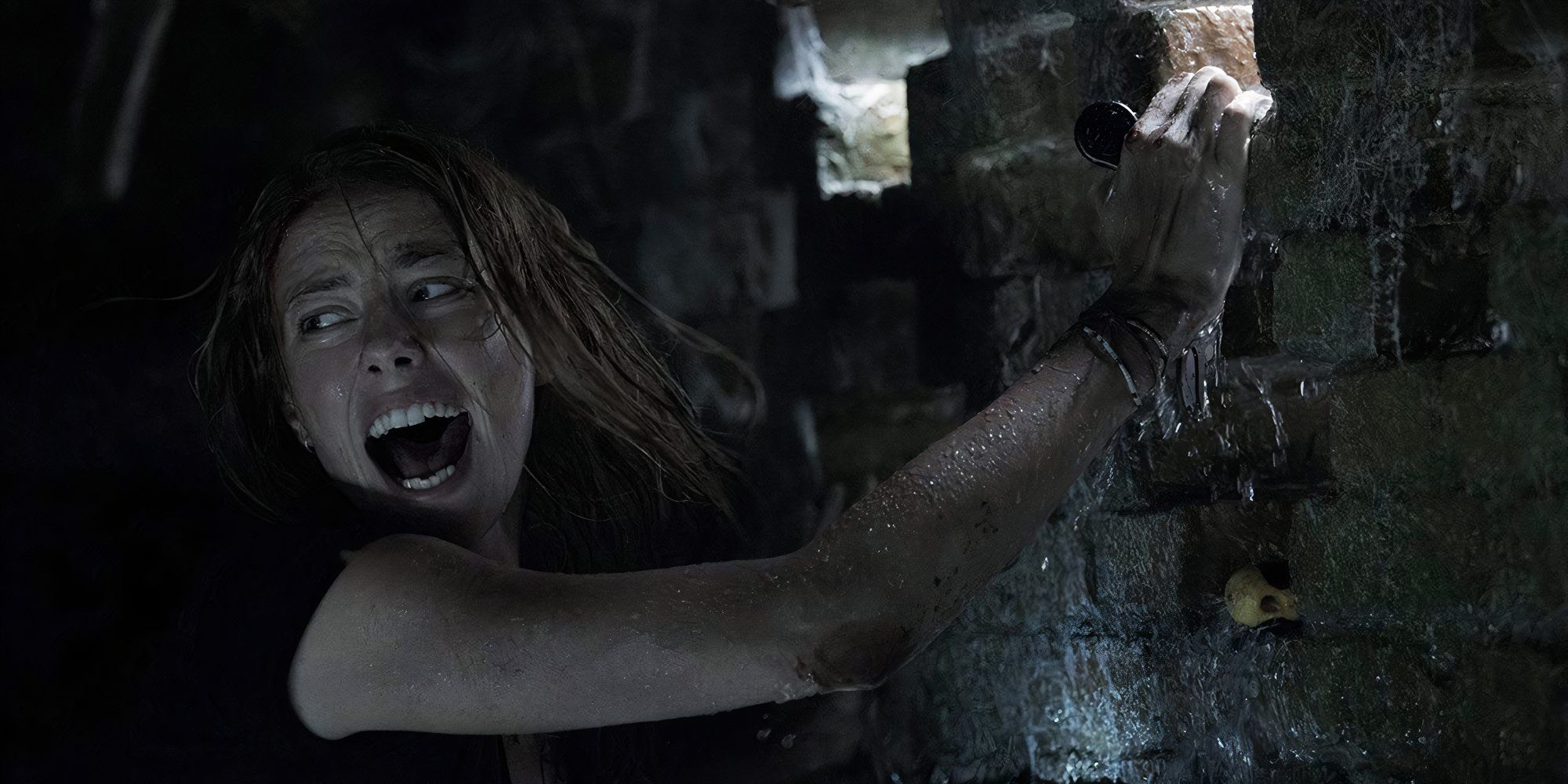 Почему «Crawl 2» выйдет без возвращения оригинального состава