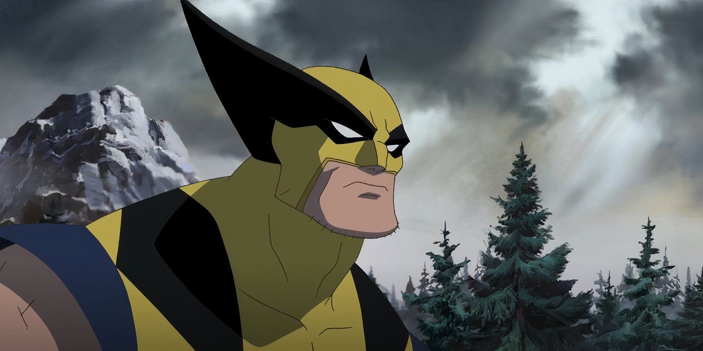 Wolverine Looking For Hulk In Hulk Vs.