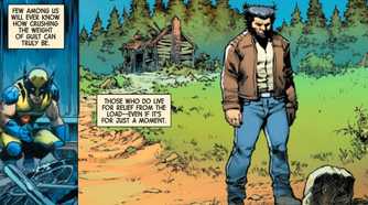 Distraught Wolverine