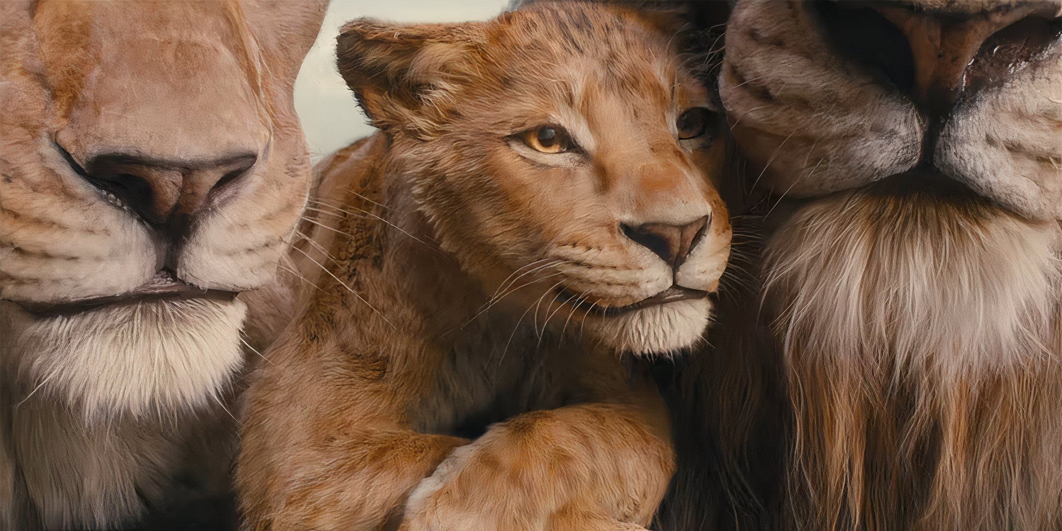 Un giro tan fuerte: la nueva estética CGI de Mufasa deja a los artistas de efectos visuales mezclados en comparación con el Rey León de acción real