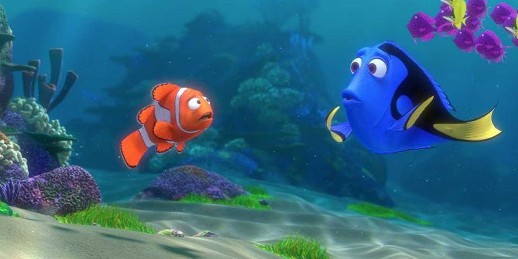 Finding Nemo Screen Rant Disney: 25 Best Quotes From Finding Nemo