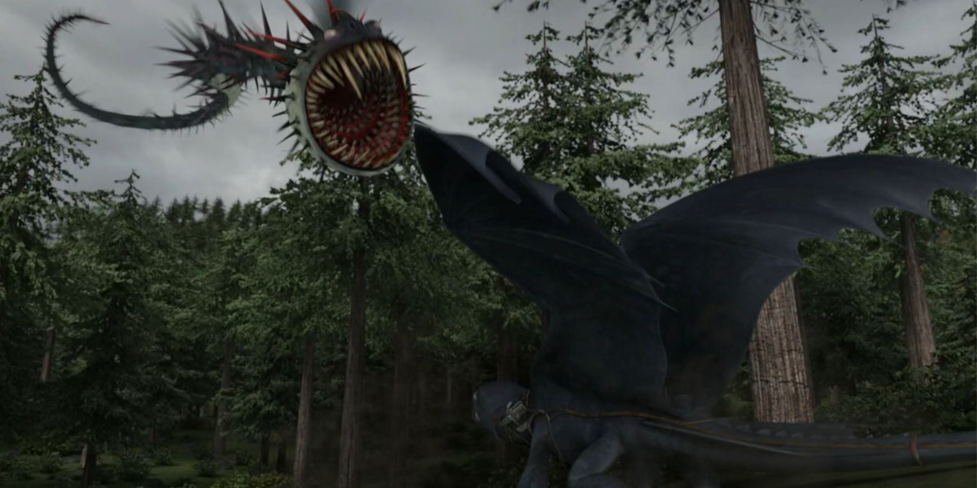 10 Best Dragon Fights In How To Train Your Dragon's Movies & Shows, Ranked