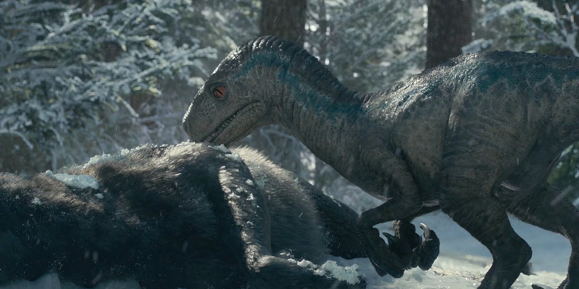 What Happens To Blue's Velociraptor Pack In The Jurassic World Movies Explained