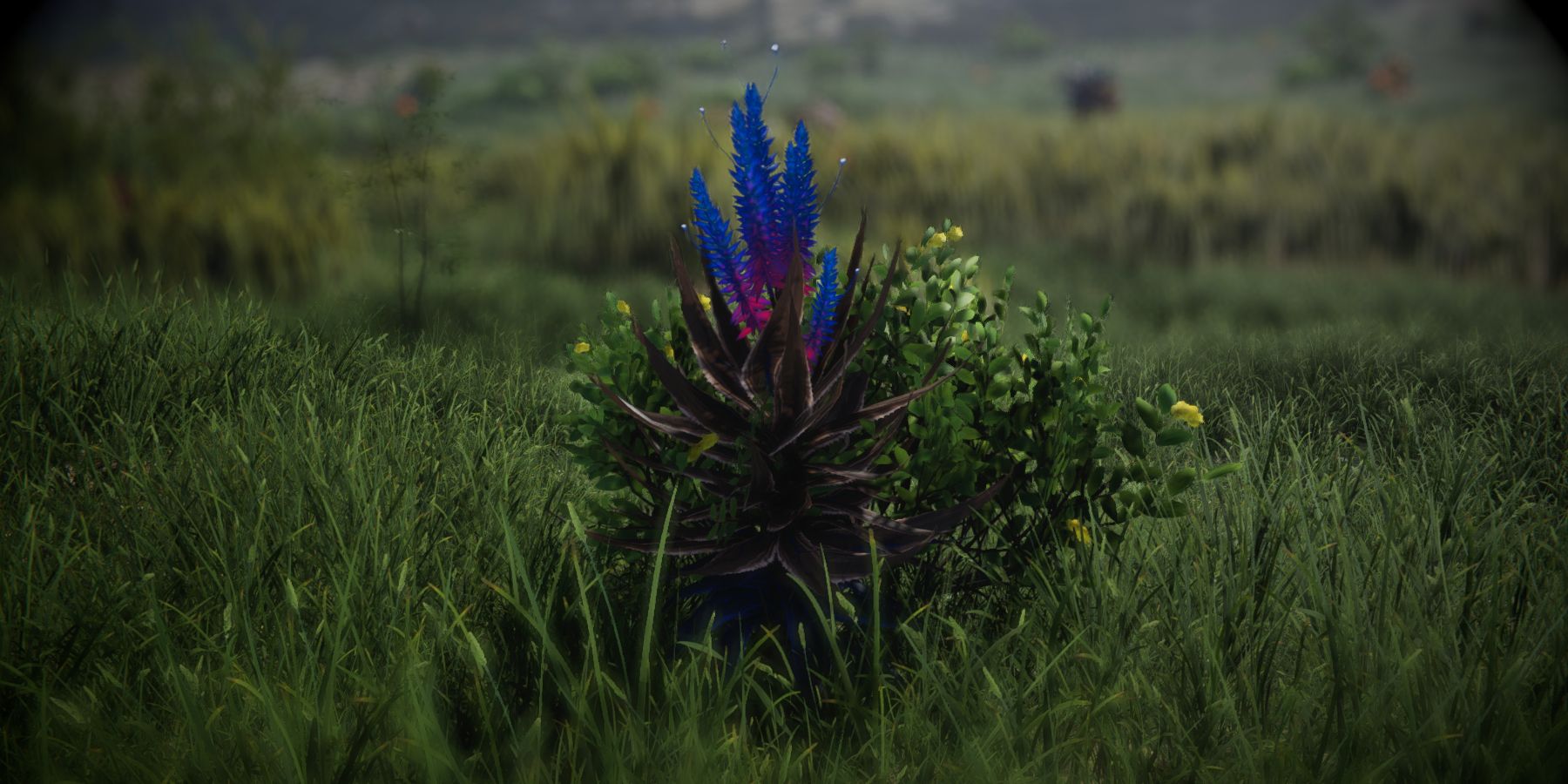 How To Find And Farm Contaminated Crops In Once Human