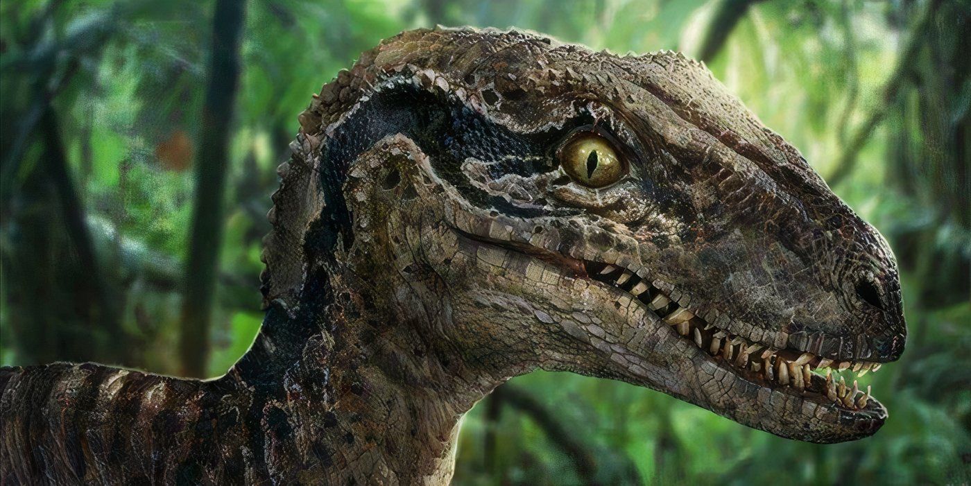 Explicación de lo que sucede con el paquete Velociraptor de Blue en las películas de Jurassic World