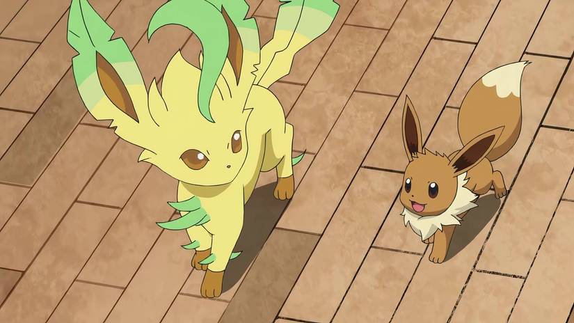 Eevee and Leafeon Pokemon