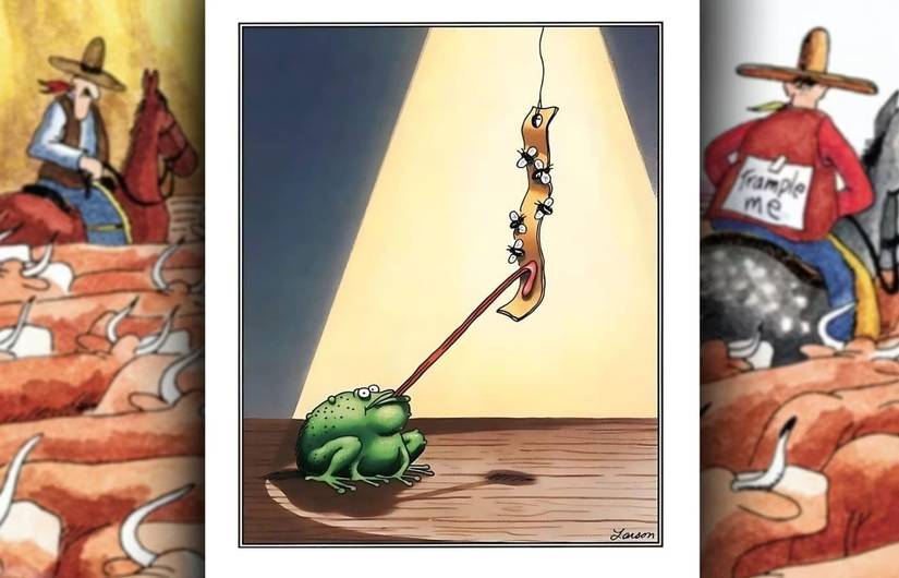far side comic where frog is stuck to flypaper