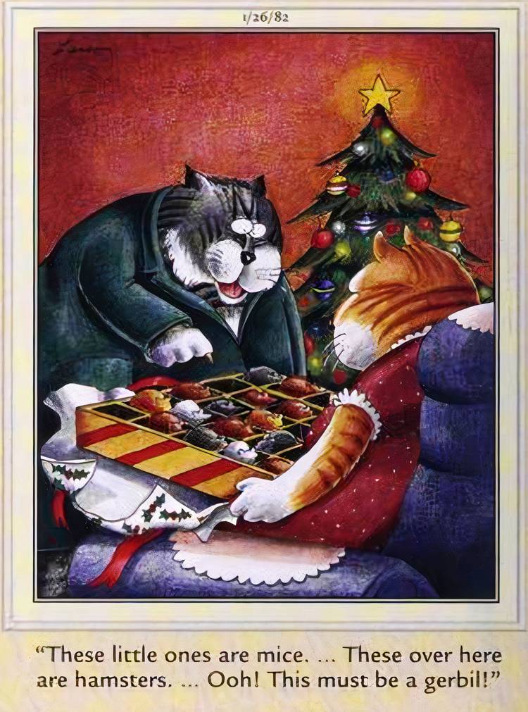Far Side, January 26, 1982, cats on christmas look at a box of vermin treats