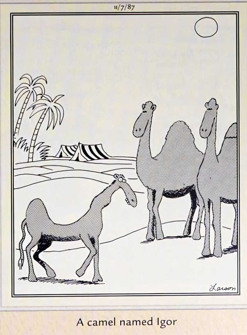 Igor Inverted 10 Funniest Far Side Comics That Somehow Make Brains Hilarious