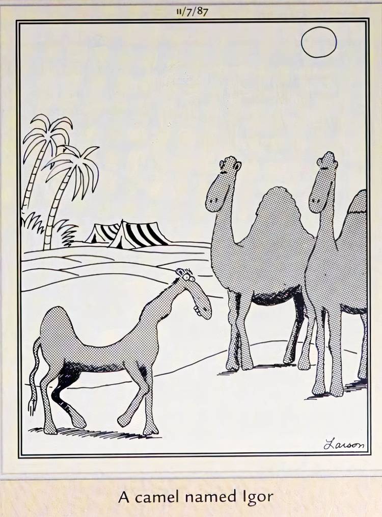 Iogr Inverted 10 Hilarious Far Side Comics Starring Igor, the Iconic Mad Scientist's ...