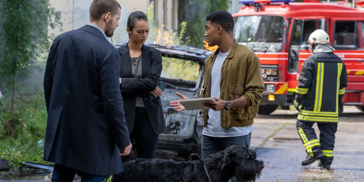 fbi international team