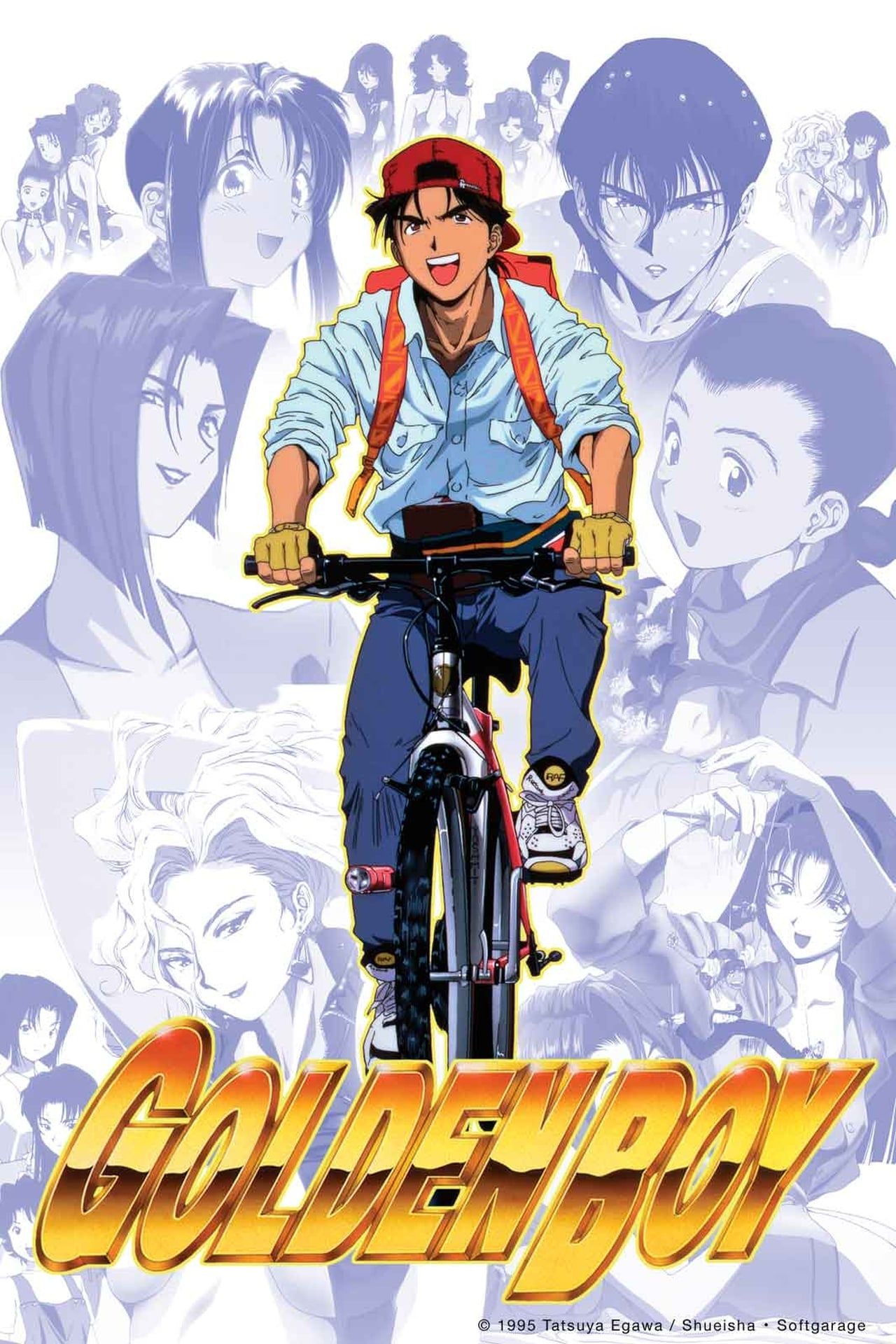 P.willinckii Golden boy (金童)ゴールデンボーイ 2026年最新