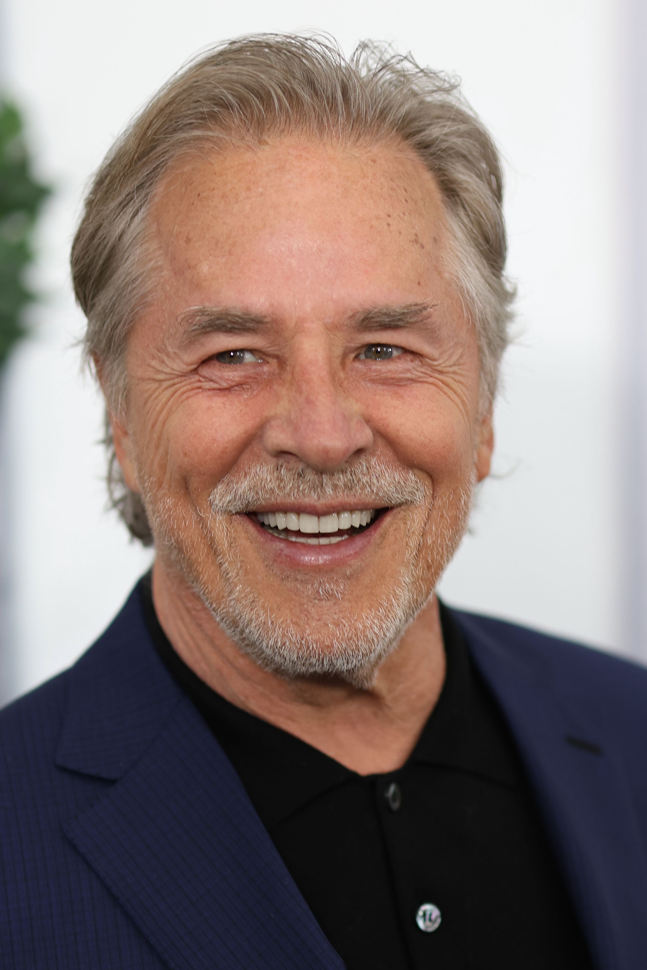 Portrait of Don Johnson