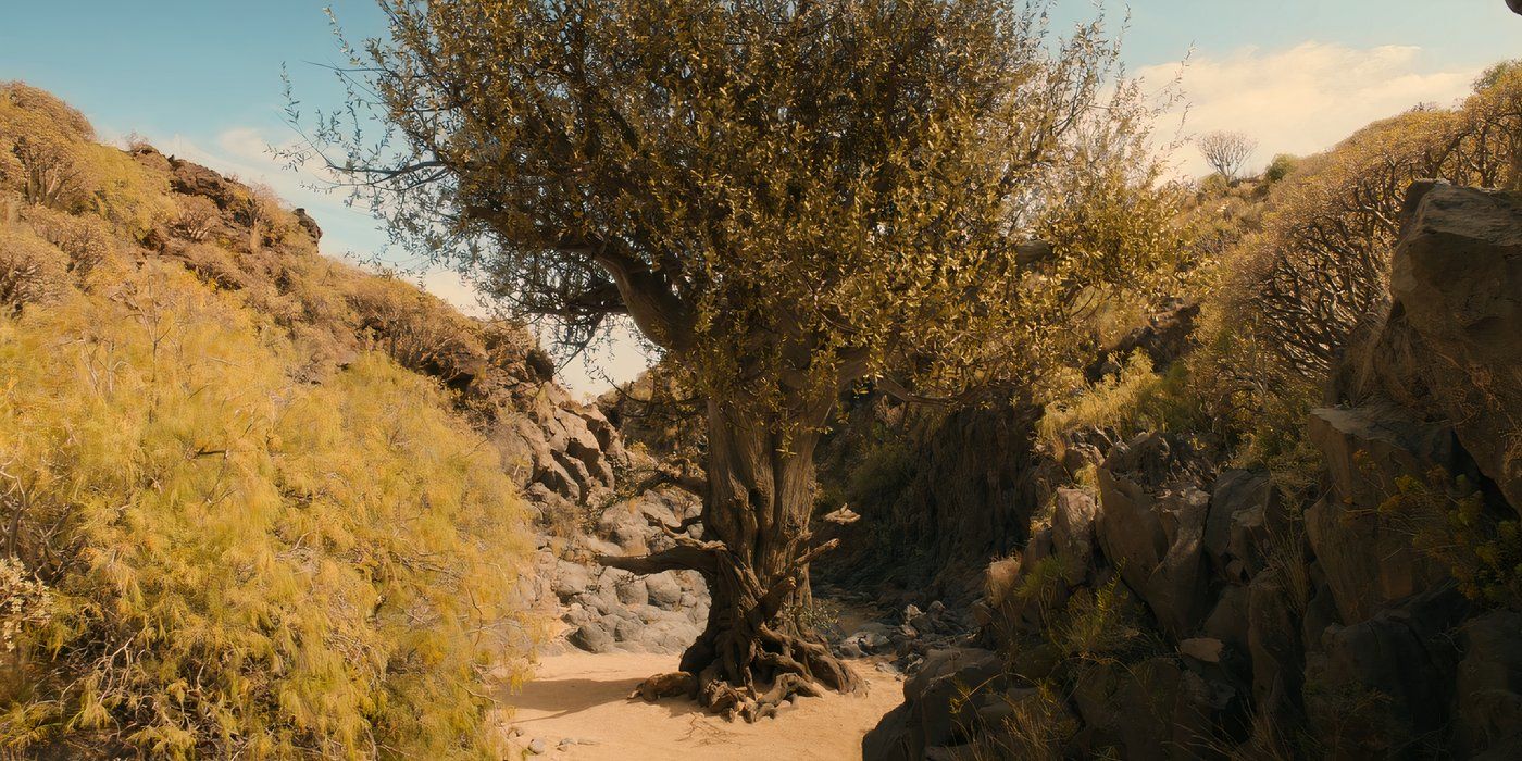 The Ironwood Tree in Rhûn in Rings of Power (2024).