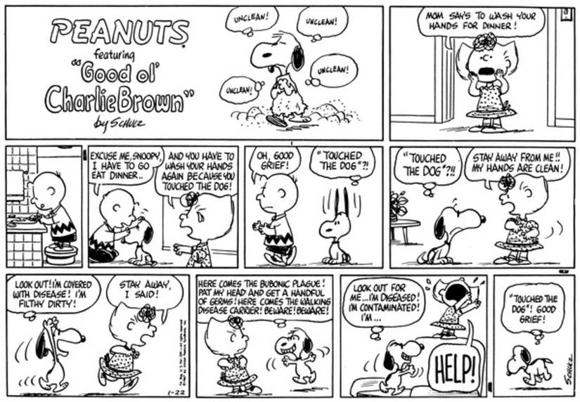 10 Funniest Peanuts Comics Starring Snoopy & Sally