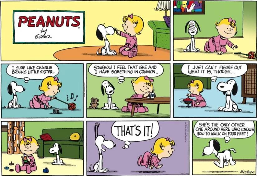 10 Peanuts Comics That Will Make You Love Snoopy Even More