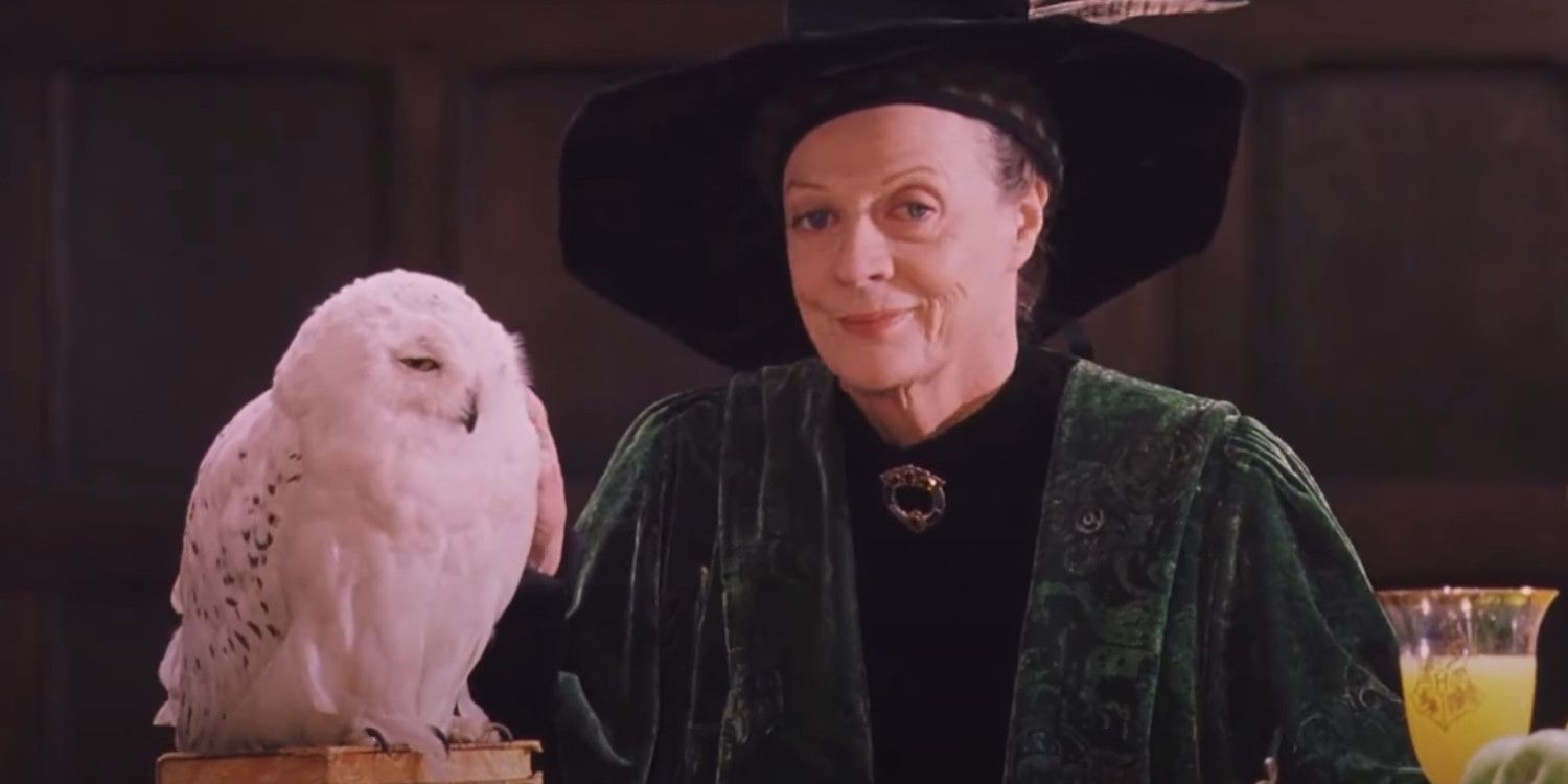 Maggie Smith as Professor McGonagall petting Hedwig and smiling at Harry in Harry Potter & the Sorcerer's Stone