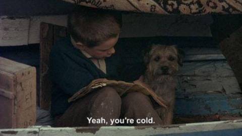 My Life as a Dog Summary, Trailer, Cast, Where to Watch and More